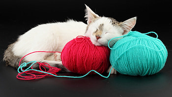 Animals, Kitty, Kitten, Spotted, Spotty, Sleep, Dream, Balls, Tangles HD wallpaper