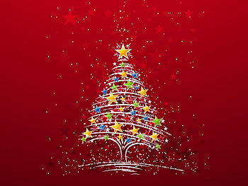 Background, Fir-Trees HD wallpaper