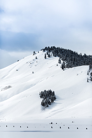 Winter, Nature, Trees, Mountains, Snow, Vertex, Top HD phone wallpaper