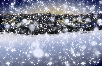 Computer christmas scenes - no way meme face HD wallpaper