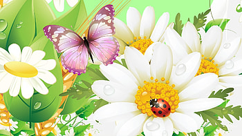 Spring Summer Fresh, ladybug, chamomile, spring, Firefox Persona theme, summer, butterfly, daisy, deew drops, flowers HD wallpaper