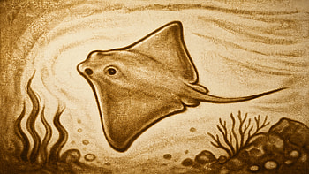 Sandy Glide — Stingray HD wallpaper