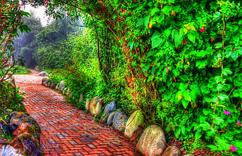 Brick path in a park, colorful, path, colors of nature, flowers park, garden, park, beautiful combination of colors, green nature, nature of forces, stunning nature, nature, sky, bricks HD wallpaper