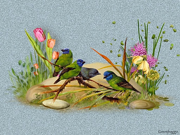 FAMILY OF FINCHES, BIRDS, ART, FINCHES, CREATION HD wallpaper