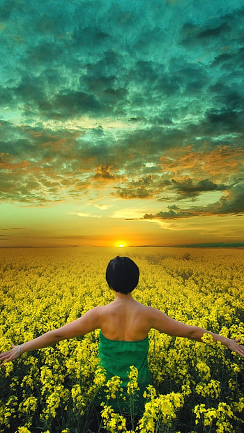 Beautiful For, Garden HD phone wallpaper