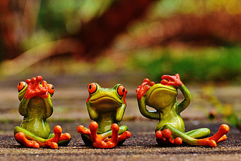 Frogs, green, cute, figurine, funny, frog, orange HD wallpaper