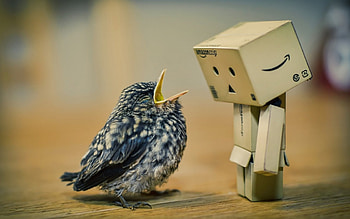 Mommy! I'm hungry!, feather, wood, bird, baby, cute, figurine, funny HD wallpaper