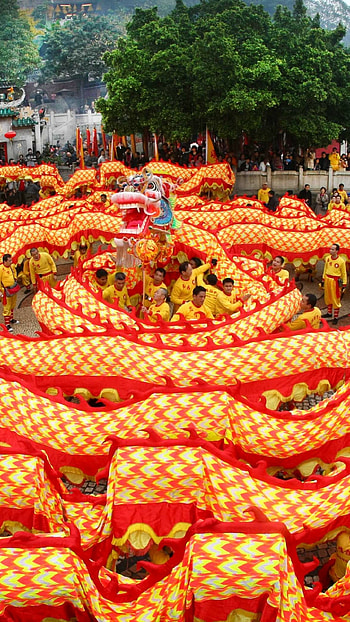 Chinese New Year, Spring festival, Dragon, Festive holidays HD phone wallpaper