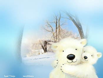 Polar Bear Mom n Baby Hugs, mist, blue, white, polar bear, bear, baby, hugs HD wallpaper