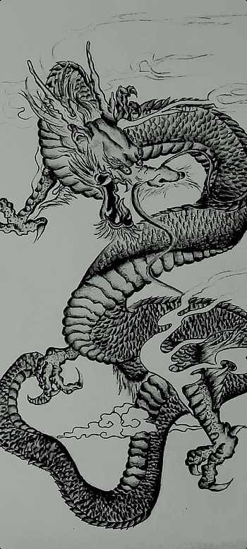 Japaneese Dragon, Japon, manga, draw, dessin HD phone wallpaper