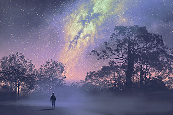 Conversations With God Book 4 Cover, artist, artwork, digital-art, stars, trees, constellations HD wallpaper