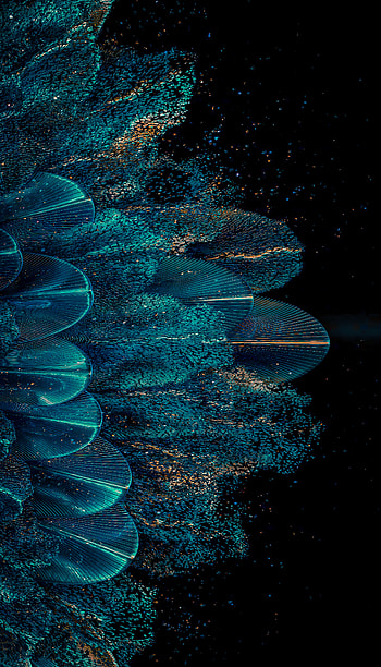 Flower feathers 2, aesthetic, blue HD phone wallpaper