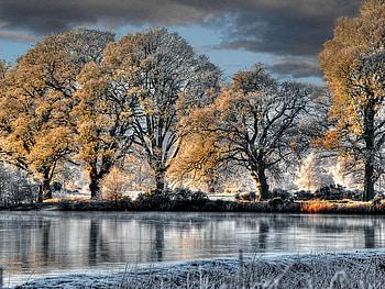 Frozen river, river, winter, frost, frozen, cold, beautiful, reflection, winter day, mirrored, snow, clouds, trees, nature, sky, water, ice HD wallpaper