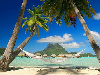 REALXATION!, relax, tree, beach HD wallpaper
