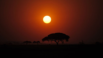 Beautiful sunset, awesome, graphy, sunrise, beauty, sunbeam, 1920x1080, magic night, , amazing, sun, sunset, sunshine, landscape, beautiful, , seasons, Africa, orange, tree, summer, cool, fields, nature, sky, beautiful day, splendor, ice HD wallpaper