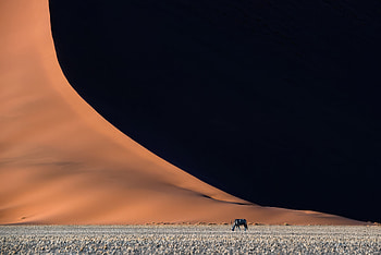 Desert Things, desert, artist, artwork, digital-art HD wallpaper