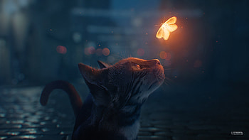 Cat Looking At Butterfly Digital Art, cat, digital-art, artist, artwork, butterfly, deviantart HD wallpaper