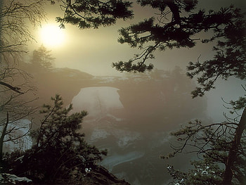 Trying to Break Through, mist, winter, snow, trees, bridge, sun, watery sun HD wallpaper