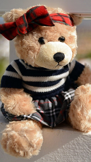 Teddy Bear Ke, Cute, Dressing HD phone wallpaper
