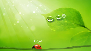 Cute HD wallpaper