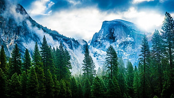 Mountain, sand, snow, nature, jungle, rocks, forest, tree HD wallpaper