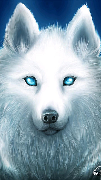 White Wolf, Animal, wolf HD phone wallpaper