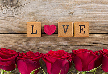 Roses, rose, love, with love, nature, flowers, valentines day HD wallpaper