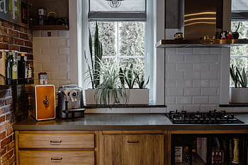 Contemporary kitchen interior with plants, gas stove, and coffee maker. HD wallpaper