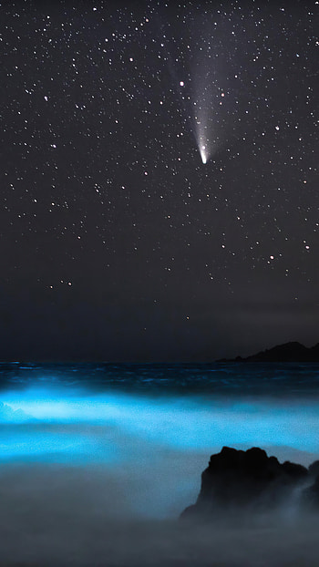 Neowise, Comets HD phone wallpaper