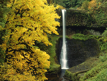 Nature, Rivers, Autumn, Waterfall, Flow HD wallpaper