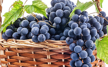 Moldova, Grapes HD wallpaper