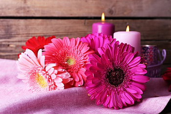 Bright gerbera, Flowers, Candles, Still life, Gerbera HD wallpaper