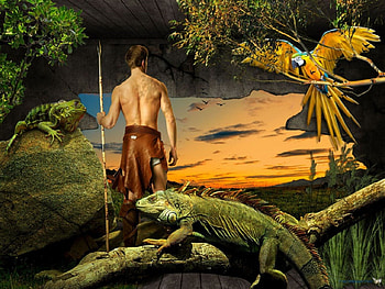 A New World, rising, standing, sun, man HD wallpaper