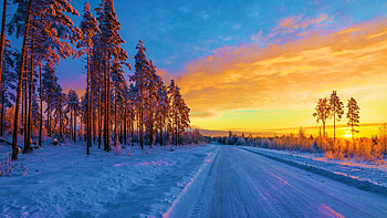Morning Sunrise in Finland, winter, scandinavia, snow, colors, landscape, trees, road, sky HD wallpaper