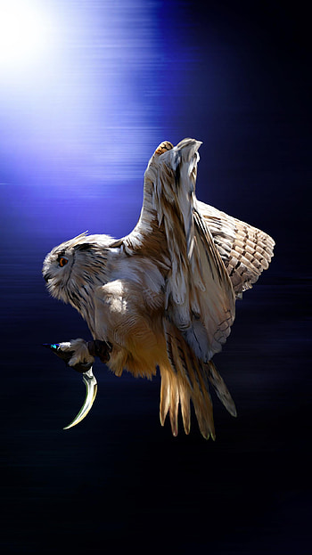 Legend of the Guardians: The Owls of Ga& HD phone wallpaper