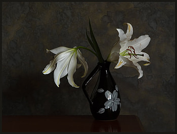 Black Mystery, natural, black, attractive, floral, mystical, appealing, big, petals, table, white, stems, painted, vase, earthy, dark, leaves, flowers, lilies, display HD wallpaper