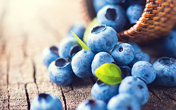 Macro blueberries, Vibrant forest finds, Berrylicious delight, Purple berry paradise HD wallpaper