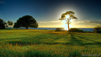 Windows 10 Nature . Beautiful nature, Beautiful views nature, nature HD wallpaper