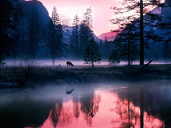 Landscape, Nature HD wallpaper