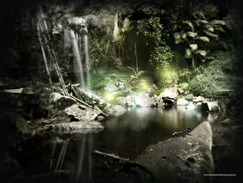 Plants, Landscape, Rivers HD wallpaper