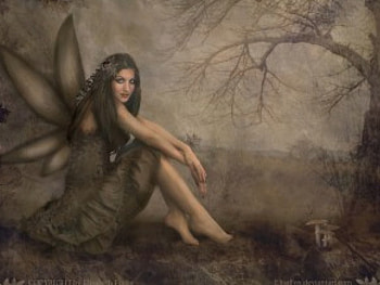 WOODFAIRY, fairy, fantasy, art, tree HD wallpaper