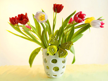 Still life, vase, beautiful, tulips, nice, butterfly, pretty, flowers, elegance, lovely, harmony HD wallpaper