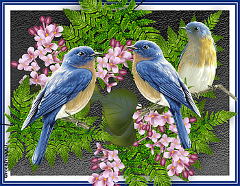 BIRD COLLAGE, ART, COLLAGE, ABSTRACT, BIRD HD wallpaper