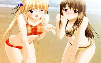 Sun Time, sand, babes, bikini, girls, water, sun, ocean, beach HD wallpaper