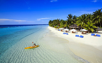 Paradise, Beach, Palms, Nature, Ocean HD wallpaper