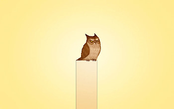Owl, Vector, Bird, , Drawing HD wallpaper