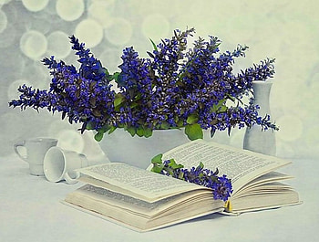 Still Life, purple, pink, book, painting, flowers HD wallpaper