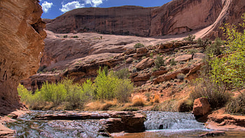 Nature, Canyon, Bush, Creek, Brook, Gorge, Mountain River HD wallpaper