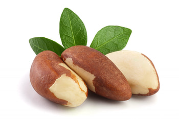 Brazil nuts with leaves, Isolated nut beauty, Close-up capture, Nature's perfection HD wallpaper