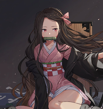 Beautiful, Kamado Nezukom, long hair HD phone wallpaper